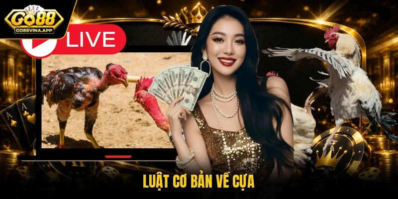 Luật cơ bản về cựa