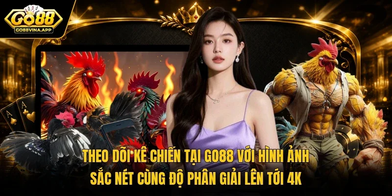 Theo dõi kê chiến tại Go88 với hình ảnh sắc nét cùng độ phân giải lên tới 4K