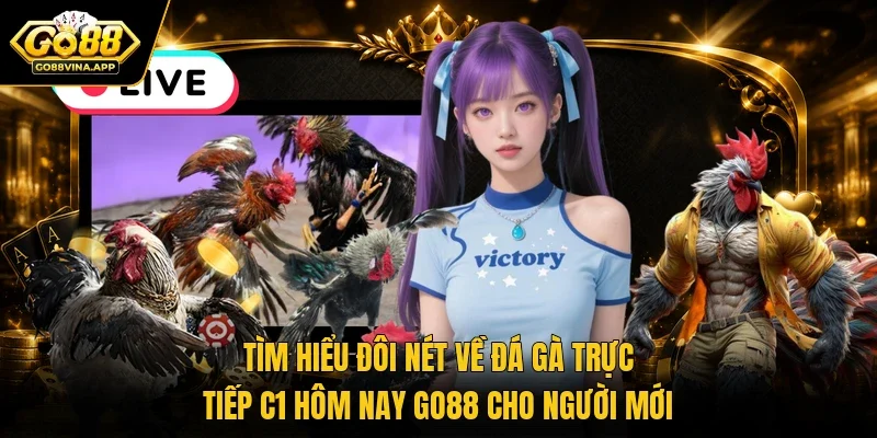 Tìm hiểu đôi nét về đá gà trực tiếp C1 hôm nay Go88 cho người mới
