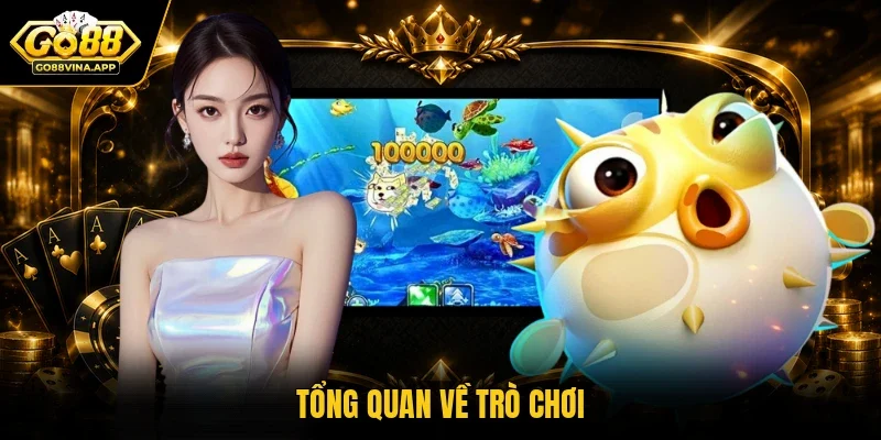 Tổng quan về trò chơi 