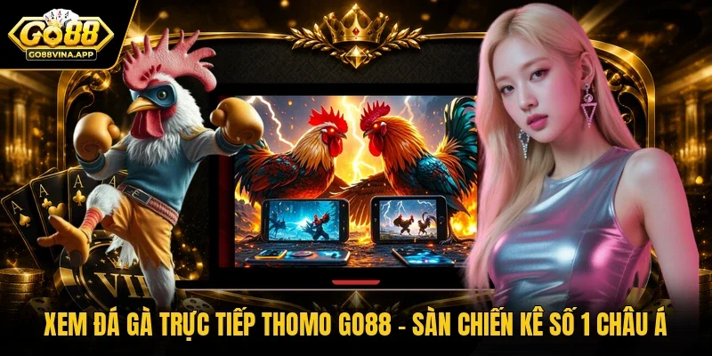 Xem đá gà trực tiếp Thomo Go88